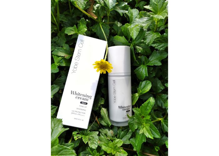 null Giới thiệu thương hiệu Yobe
