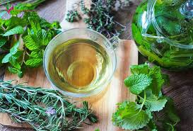 Sự thật về lá nam 10 vị