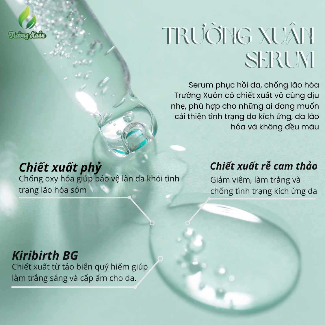 Thành phần có trong serum dưỡng da Trường Xuân