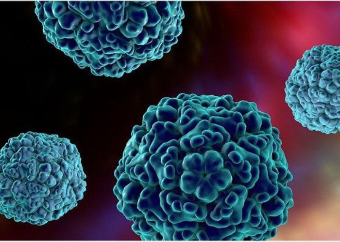 null V71 lây truyền chủ yếu qua đường phân - miệng và tiếp xúc trực tiếp