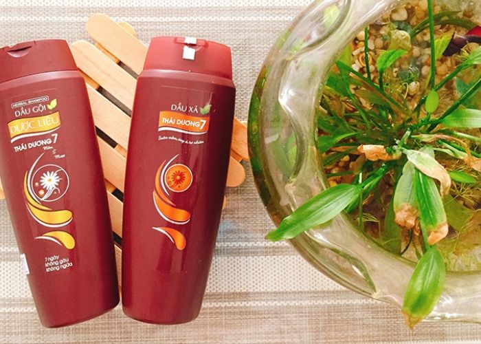 Thái Dương là một thương hiệu đến từ Việt Nam