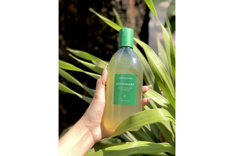 Thiết kế đơn giản, sang trọng