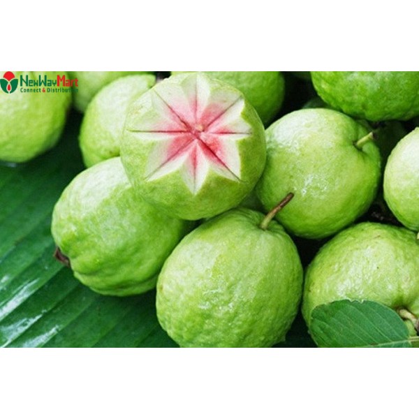Ăn ổi có nổi mụn không? Ăn ổi có tác dụng gì?