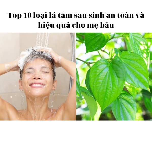 Top 10 loại lá tắm sau sinh an toàn và hiệu quả cho mẹ bầu