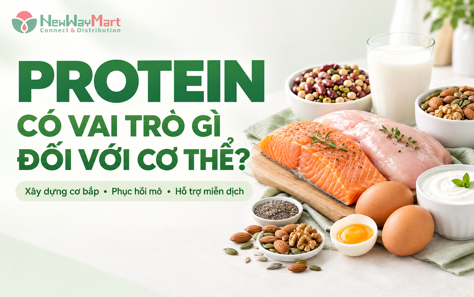 Cơ thể cần protein để làm gì? Vai trò của protein đối với cơ thể