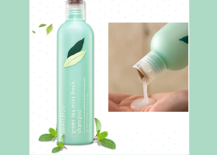 Dầu gội trà xanh bạc hà Green Tea Mint Fresh Shampoo phù hợp da đầu nào?