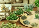 Giải đáp - Lá nam 10 vị gồm những vị gì? Có tác dụng gì? Có giảm cân không?
