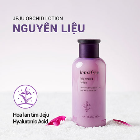 Sữa dưỡng chống lão hóa Innisfree Jeju Orchid Lotion hoa lan tím 160 ml