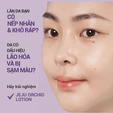 Sữa dưỡng chống lão hóa Innisfree Jeju Orchid Lotion hoa lan tím 160 ml
