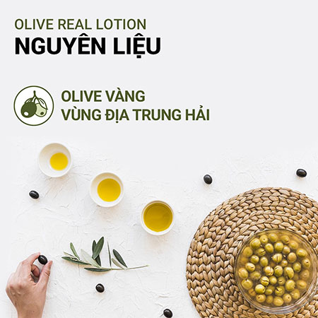 Sữa dưỡng ẩm sâu Innisfree Olive Real Lotion ô liu vàng 160ml