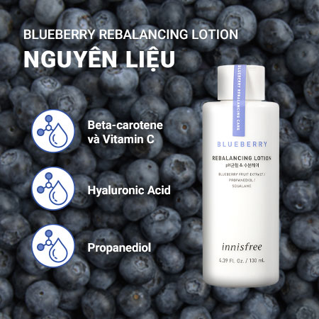 Sữa dưỡng cân bằng ẩm Innisfree Blueberry Rebalancing Lotion việt quất 130ml