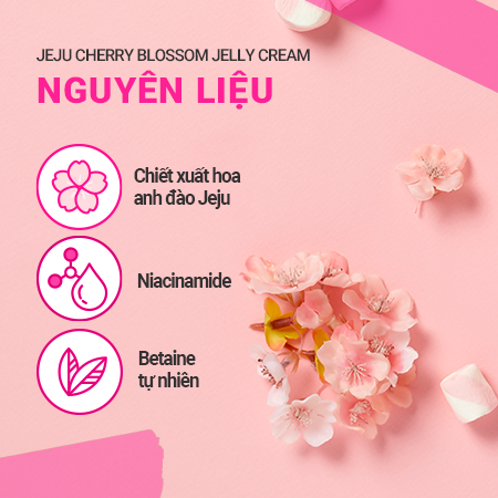 Bộ đôi dưỡng ẩm và sáng da Innisfree Jeju Cherry Blossom Jelly Cream & Skin 50ml+200ml