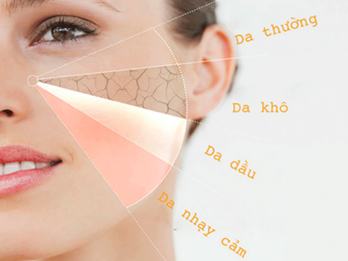 [TỔNG HỢP] Top 11 kem dưỡng ẩm cho da khô Hàn Quốc