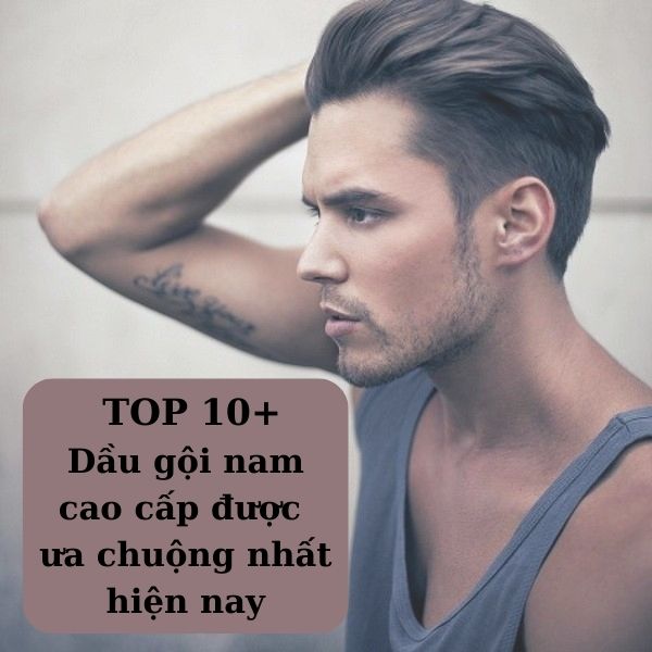 [Tổng Hợp] 10+ Dầu Gội Nam Cao Cấp Được Ưa Chuộng Nhất Hiện Nay