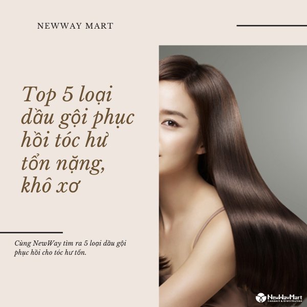 Top 5 loại dầu gội phục hồi tóc hư tổn nặng, khô xơ