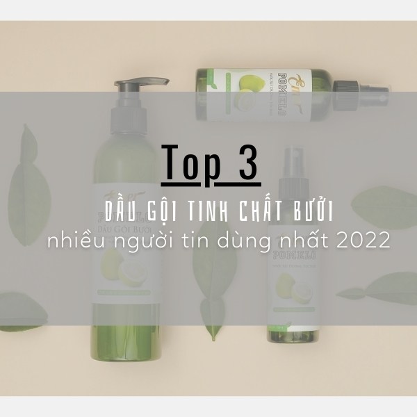 Top 3 loại dầu gội tinh chất bưởi được nhiều người tin dùng nhất 2022
