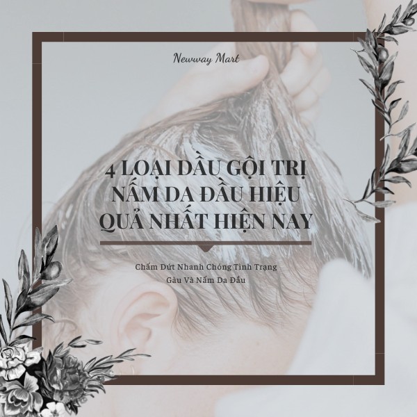 Chấm Dứt Gàu Và Nấm Da Đầu Với 4 Loại Dầu Gội Trị Nấm Da Đầu Hiệu Quả Nhất Hiện Nay